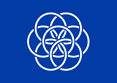 International flag
